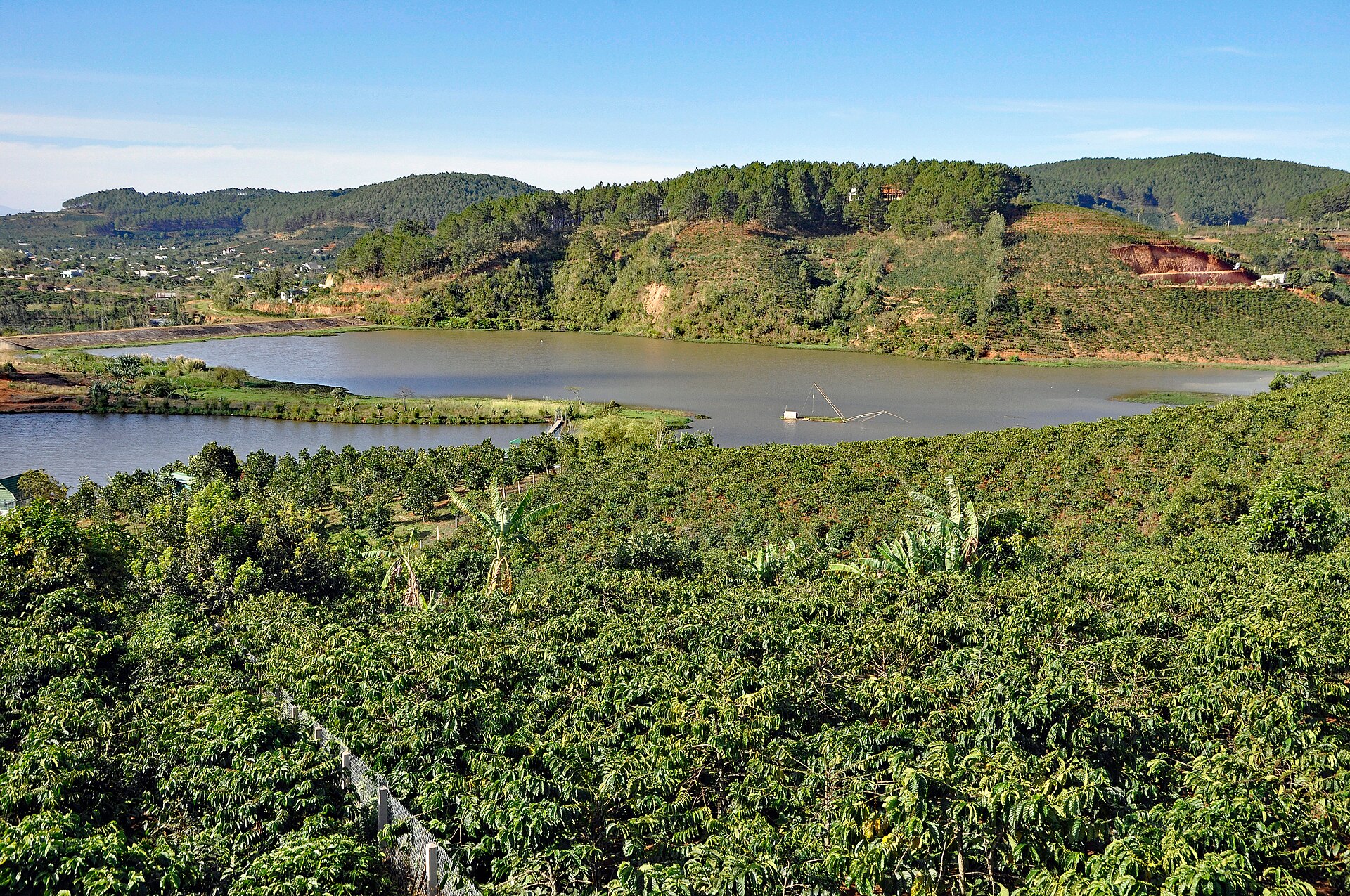 Cà phê