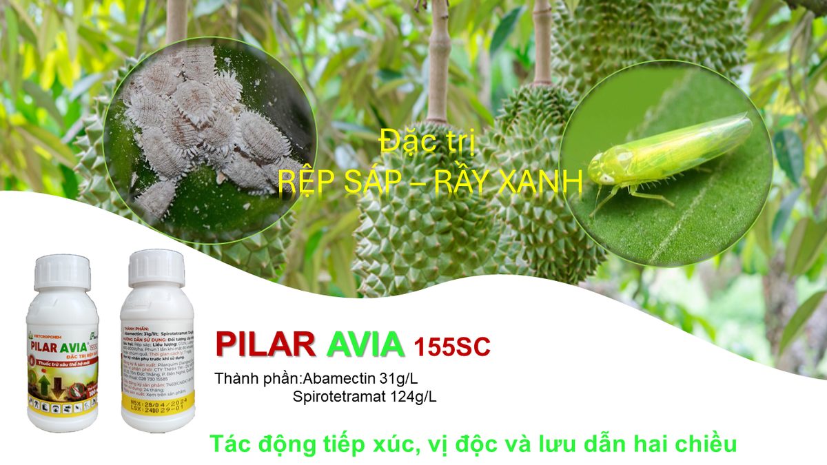 So găng Spirotetramat với Abamectin, Imidacloprid… Ai thắng?